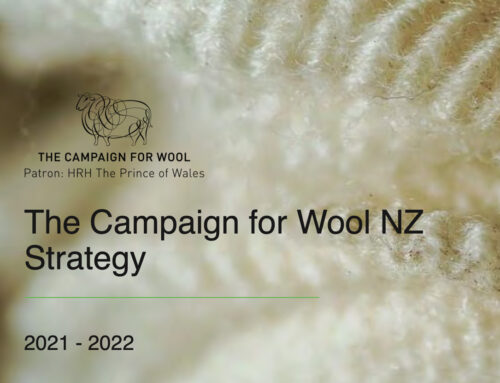 CFWNZ Trust Strategy Doc 2021-2022
